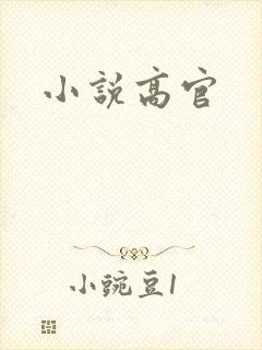 小说高官