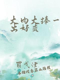 大肉大捧一进一出好爽