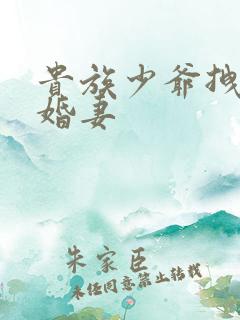 贵族少爷拽拽未婚妻