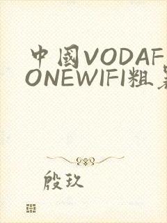 中国VODAFONEWIFI粗暴APP