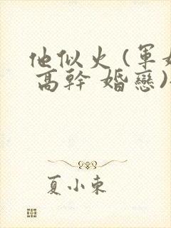 他似火 (军婚 高干 婚恋)全文在线阅读