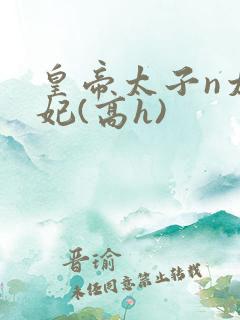 皇帝太子n太子妃(高h)