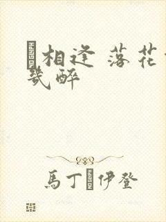 囍相逢 落花能几醉