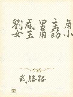 刘成男主角刘雪女主角的小说