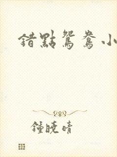 错点鸳鸯小说