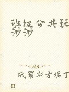 班级公共玩具叶渺渺