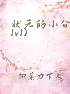 状元的小公主(1v1)