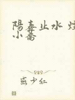 阳春止水 烟树小荞