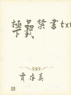 极品禁书txt下载