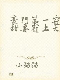 豪门第一宠大佬甜妻宠上天