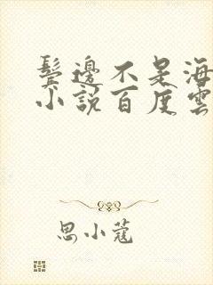 鬓边不是海棠红小说百度云