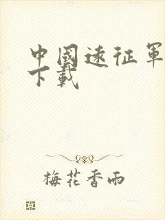 中国远征军全集下载