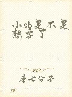 小sb是不是又想要了