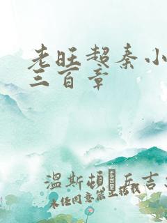 老旺超秦小雨第三百章