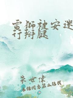 雷狮被安迷修强行掰腿