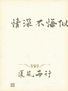 情深不悔似笑话