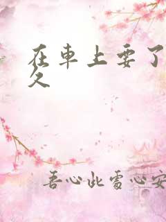 在车上要了我很久