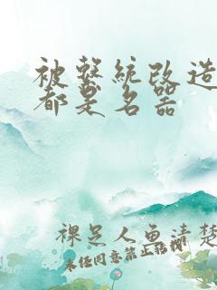 被系统改造全身都是名器