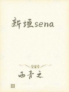 新垣sena