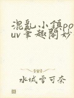 混乱小镇popuv笔趣阁妙妙