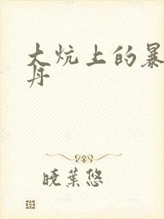 大炕上的暴伦小丹