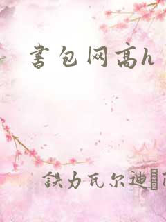 书包网高h