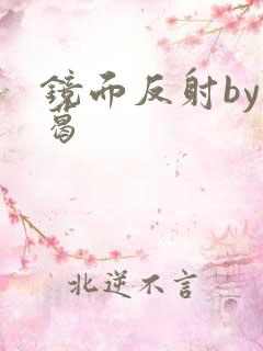 镜面反射by九葛