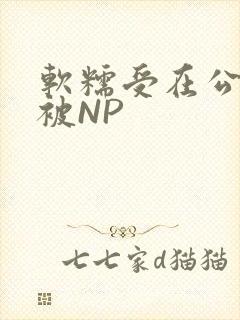 软糯受在公交车被NP