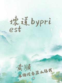 坏道bypriest