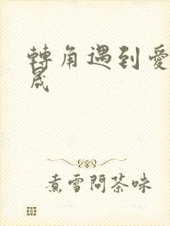 转角遇到爱 李晟