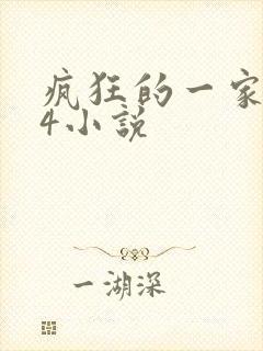 疯狂的一家ps4小说