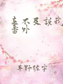 来不及说我爱你番外