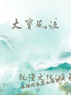 大宝风流