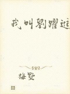 我叫刘跃进下载