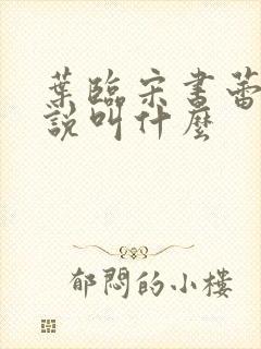 叶临宋书蕾的小说叫什么