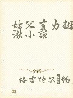 姑父有力挺送徐湫小说