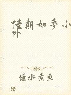 佳期如梦小说番外