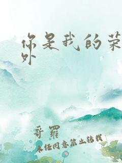 你是我的荣耀番外