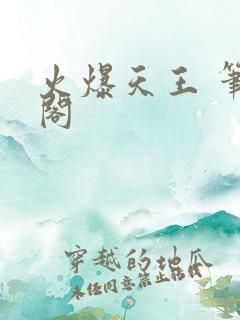 火爆天王 笔趣阁