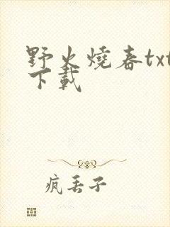 野火烧春txt下载