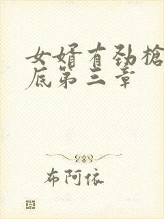 女婿有劲枪枪到底第三章