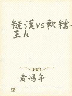 糙汉vs软糯女主h