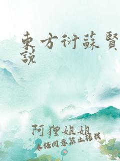 东方衍苏贤儿小说