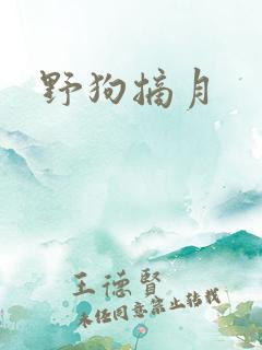 野狗摘月