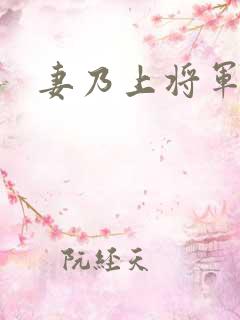 妻乃上将军下载