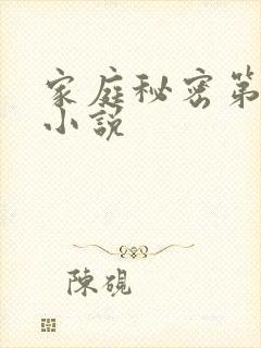 家庭秘密第3集小说