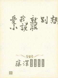 爱我就别想太多小说版