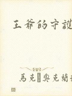 王爷的守护男妃