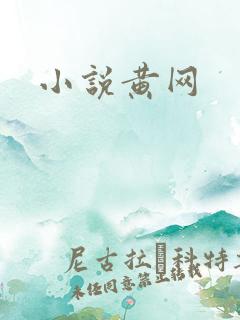 小说黄网