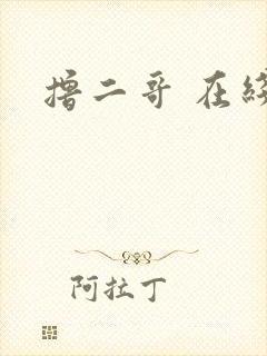 撸二哥 在线